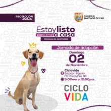 Jornada de Adopción domingo 02-nov-2025 Ciclovia - Estación Ingenio Cl. 16 con Cr. 83