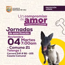 Jornada de Esterilización martes 04 de noviembre de 2025 Comuna 21 Talanga CR. 24f # 86 - 105 Caseta Comunal