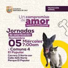 Jornada de Esterilización miércoles 05 de noviembre de 2025 Comuna 4 El Popular Cr. 3 Norte Cl. 42 A Norte Parque El Popular