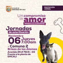 Jornada de Esterilización jueves 06 de noviembre de 2025 Comuna 2 Brisas de los Alamos Av. 2N # 75CN- 03 