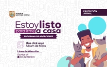 Adopciones