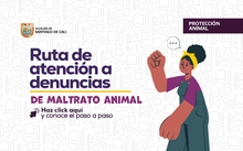 Ruta de maltrato animal