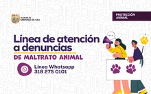 Línea de atención a denuncias