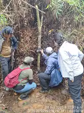 Cali, la primera ciudad capital en Colombia que transforma la preservación de su biodiversidad con inteligencia artificial