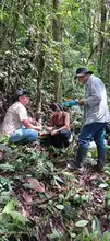 Cali, la primera ciudad capital en Colombia que transforma la preservación de su biodiversidad con inteligencia artificial