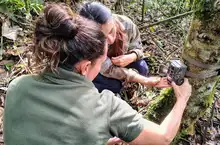 Cali, la primera ciudad capital en Colombia que transforma la preservación de su biodiversidad con inteligencia artificial