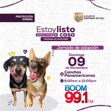 Jornada de Adopción domingo 09 de noviembre de 2025 
