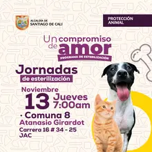Jornada de esterilización jueves 13 de noviembre de 2025 