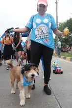 Cali caminó por la paz junto a sus peluditos: una jornada de amor, deporte y conciencia animal