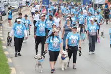 Cali caminó por la paz junto a sus peluditos: una jornada de amor, deporte y conciencia animal