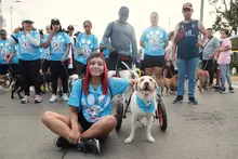 Cali caminó por la paz junto a sus peluditos: una jornada de amor, deporte y conciencia animal