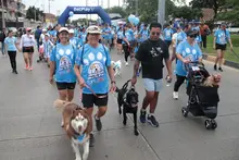 Cali caminó por la paz junto a sus peluditos: una jornada de amor, deporte y conciencia animal
