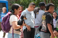 Alcaldía de Cali invita a cuidar con amor a los ‘peluditos’ que llegan a la vejez