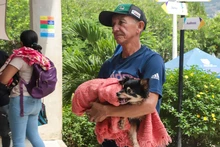 Alcaldía de Cali invita a cuidar con amor a los ‘peluditos’ que llegan a la vejez