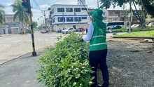Con la estrategia Promotores ‘Mi Cali Bella’ y el apoyo de la comunidad, se recuperan dos parques del barrio El Dorado