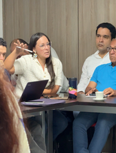 Reunión de Lineamientos de Información Geográfica
