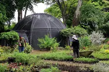 Con producción agroecológica y soluciones basadas en la naturaleza, Alcaldía impulsa el reverdecimiento de Cali