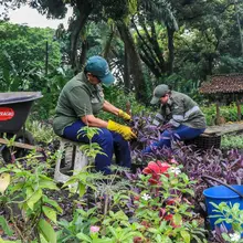 Con producción agroecológica y soluciones basadas en la naturaleza, Alcaldía impulsa el reverdecimiento de Cali