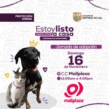 Jornada de adopción Centro Comercial Mallplaza