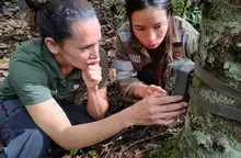 Los ojos de miles de caleños monitorean la biodiversidad: ya se han instalado cerca de 100 cámaras trampa