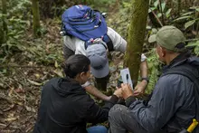 Los ojos de miles de caleños monitorean la biodiversidad: ya se han instalado cerca de 100 cámaras trampa