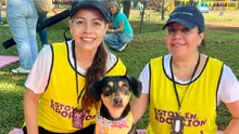 Alcaldía de Cali abre la caracterización de rescatistas, fundaciones y albergues para fortalecer la Red de Protección Animal 2025
