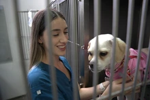 Más manos para el bienestar animal: pasantes de veterinaria se  integran al CBA con apoyo de la Alcaldía de Cali