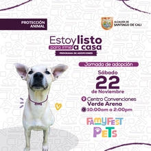 Jornada de adopción sábado 22 de noviembre de 2025 