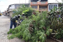 ‘Distrito más Verde’ del Dagma se articula con el plan para  fortalecer la seguridad en Cali
