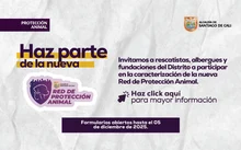 Convocatoria para la caracterización de rescatistas, albergues y fundaciones que harán parte del fortalecimiento de la Red de Protección Animal 2025.