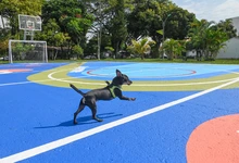 Canchas múltiples renovadas en las comunas 7, 13, 14, 18 y 19, ya están al servicio de la comunidad