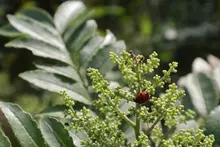 Inclusión y biodiversidad en el sendero de Cristo Rey 
