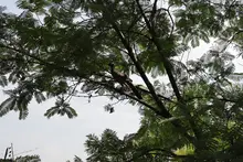 Inclusión y biodiversidad en el sendero de Cristo Rey 