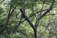 Inclusión y biodiversidad en el sendero de Cristo Rey 