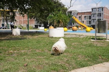 Zonas Verdes