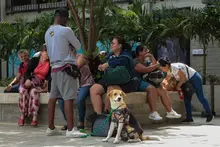 Resultados reales y operación 24/7: Uaepa y CBA reafirman su funcionamiento pleno y compromiso inquebrantable con la protección animal en Cali