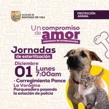 Jornada de esterilización 01 de diciembre de 2025