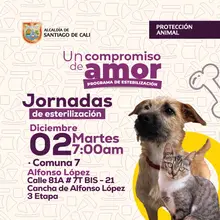 Jornada de esterilización 02 de diciembre de 2025