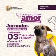 Jornada de esterilización 03 de diciembre de 2025