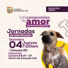 Jornada de esterilización 04 de diciembre de 2025