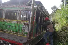 Activado el ‘Plan Distrito Más Verde’ para proteger la fauna y flora silvestre durante la temporada de fin de año 