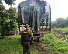 Activado el ‘Plan Distrito Más Verde’ para proteger la fauna y flora silvestre durante la temporada de fin de año 