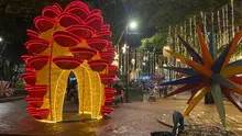 Alumbrado Navideño 2025 inicia el 7 de diciembre con un viaje mágico entre la biodiversidad y la tradición vallecaucana