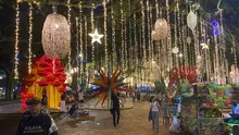 Alumbrado Navideño 2025 inicia el 7 de diciembre con un viaje mágico entre la biodiversidad y la tradición vallecaucana