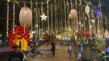 Alumbrado Navideño 2025 inicia el 7 de diciembre con un viaje mágico entre la biodiversidad y la tradición vallecaucana