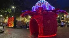 Alumbrado Navideño 2025 inicia el 7 de diciembre con un viaje mágico entre la biodiversidad y la tradición vallecaucana