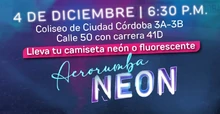 Fiesta Neon 2
