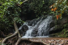 Turismo regenerativo e inclusión: los grandes aprendizajes de la Misión Costa Rica