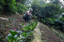 Turismo regenerativo e inclusión: los grandes aprendizajes de la Misión Costa Rica