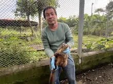 El Dagma recuperó 41 animales silvestres y los envió de regreso  a su hábitat en Caquetá y Amazonas